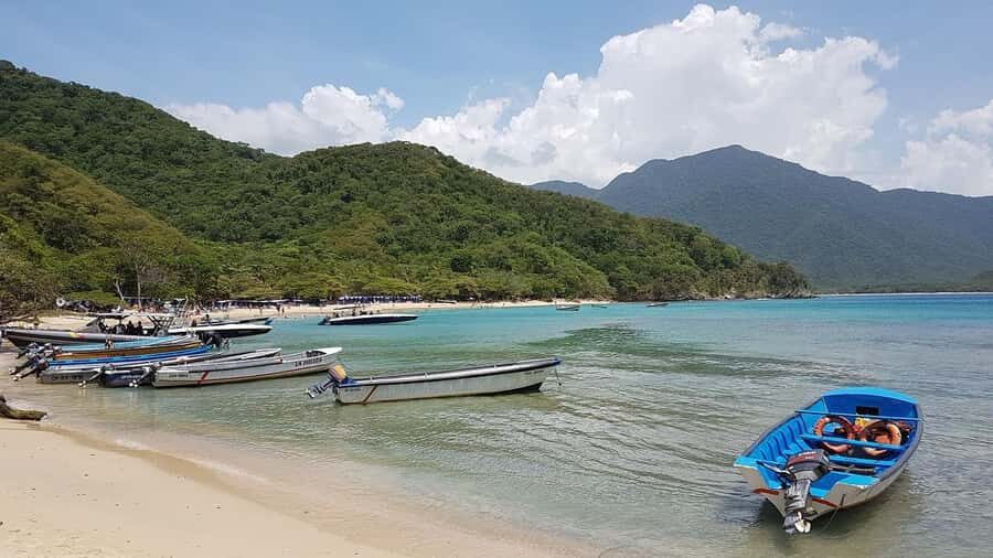 Tayrona Park & Playa Cristal - Who is This Tour Best For?
