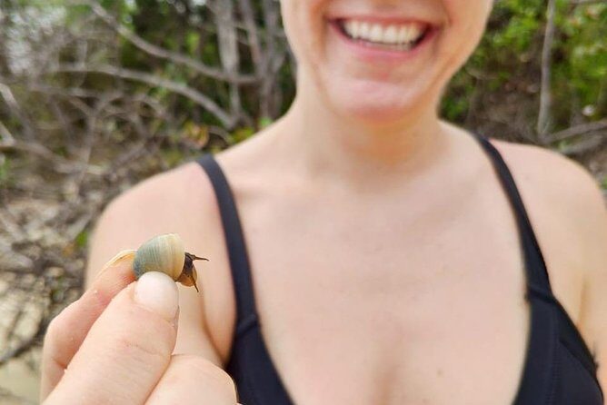 Tayrona Park - Pueblito Tayku + Cabo San Juan - Authentic Reviews and Insights