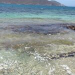 Tayrona Playa Cristal 7 Waves Neguanje Park Tour - Final Thoughts: Is It Worth It?