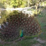 Temaiken Biopark Buenos Aires Tour - Final Thoughts