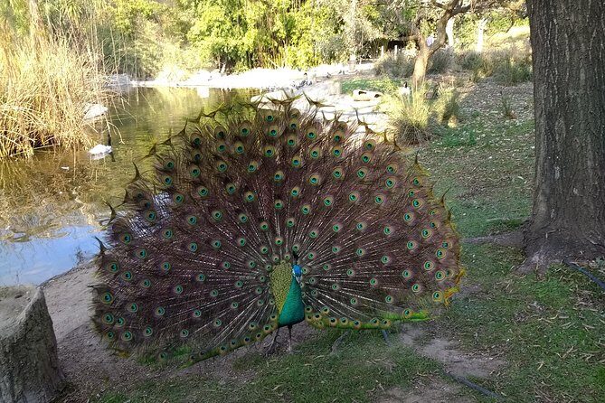 Temaiken Biopark Buenos Aires Tour - Final Thoughts