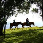 Terevaka Mount: Morning Horseback Riding & Planting Tour - Authentic Views and a Personal Touch
