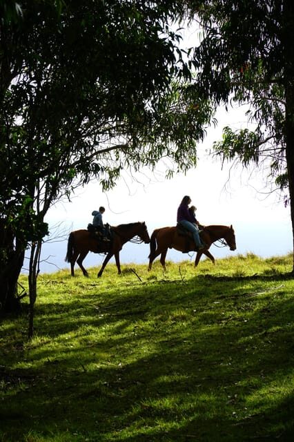 Terevaka Mount: Morning Horseback Riding & Planting Tour - Authentic Views and a Personal Touch