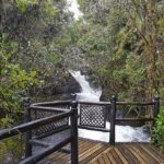 Termas de Papallacta Hot Springs full day tour from Quito - Authentic Experiences and Customer Feedback