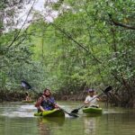 Terraba-Sierpe Mangrove Tour - An In-Depth Look at the Terraba-Sierpe Mangrove Tour