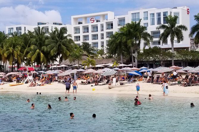 The AMAZING Montego Bay Tour - A Deep Dive into the Montego Bay Tour Experience