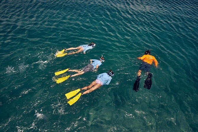 The Artisan Sea & Kayak Adventure (4-in-1) - Practical Details and Value