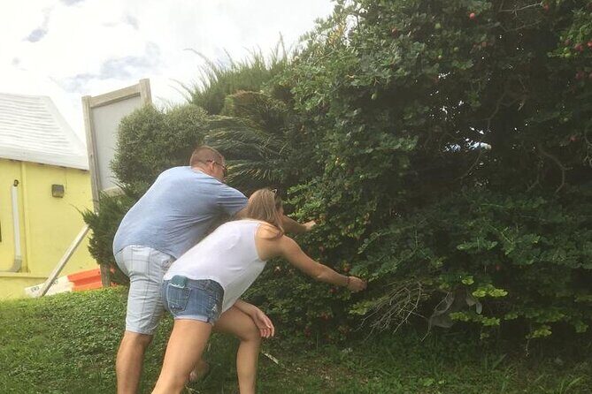 The Bermuda Tea and Tales Experience - A Closer Look at The Bermuda Tea and Tales Experience