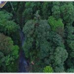 The best and nearest Bungee jump to San Jose - An In-Depth Look at the Bungee Jump and Forest Adventure