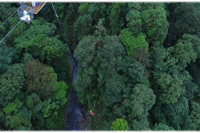 The best and nearest Bungee jump to San Jose - An In-Depth Look at the Bungee Jump and Forest Adventure