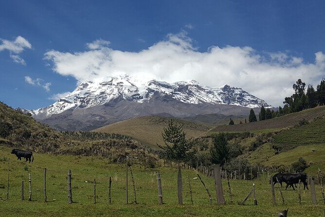 The Best of Ecuador & Galapagos 12 Days / 11 Nights - Day 5-6: Colonial Cuenca & High-Altitude Nature