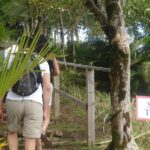 The Best of Saint Lucia Tour - Authentic Insights from Travelers