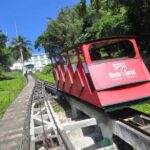 The Best of Santos - 6 hours - Private City Tour - Practical Considerations and Final Thoughts