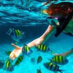 The best of the westt - Considerations