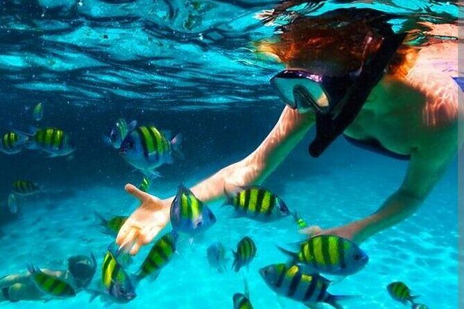 The best of the westt - Considerations