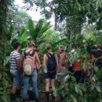 The best of Tortuguero: Canoe, hike and night tour (turtle in Jul-Oct) - Final Thoughts: Is It Worth It?