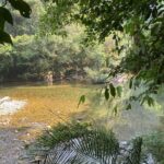 The best Private Tour to Jungle+Rafting+Paragliding+Natural pool - What Makes This Tour Special?