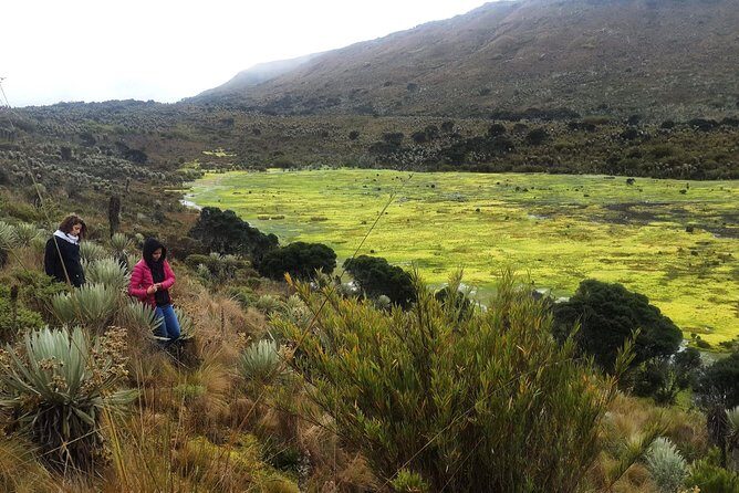 The biggest paramo on earth: Sumapaz - Why This Tour Is Worth Your Time