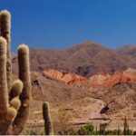 The Calchaqui Valley Winery and Scenery Tour in Cafayate - A Deep Dive into the Calchaqui Valley and Cafayate Experience