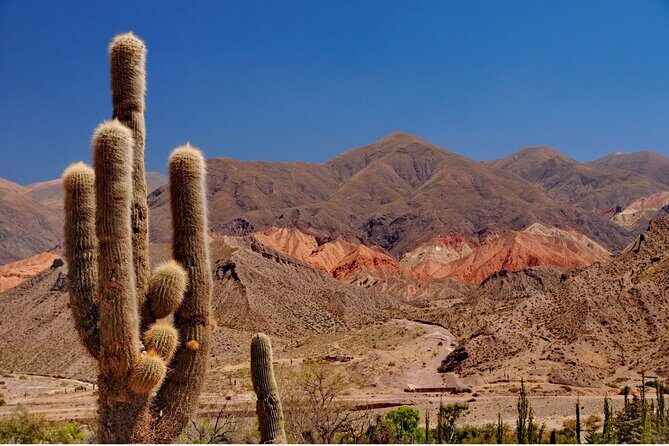 The Calchaqui Valley Winery and Scenery Tour in Cafayate - A Deep Dive into the Calchaqui Valley and Cafayate Experience