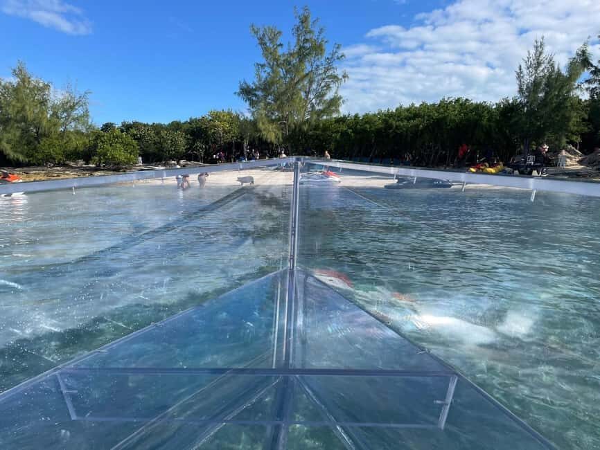 The Clear Boat Experience Bahamas drinks and snacks included - Why Choose This Tour?