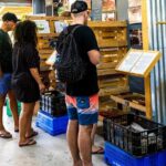 The Coffee Experience - Final Thoughts: Who Will Love This Coffee Tour?