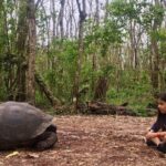 The Galapagos Giant Tortoise Experience | Los Gemelos | Shared - Authentic insights from travelers