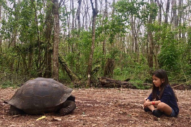 The Galapagos Giant Tortoise Experience | Los Gemelos | Shared - Authentic insights from travelers