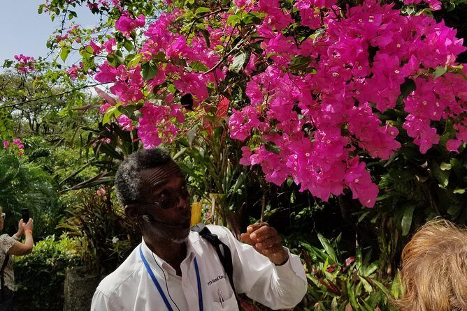 The Grand Tour of St. Kitts