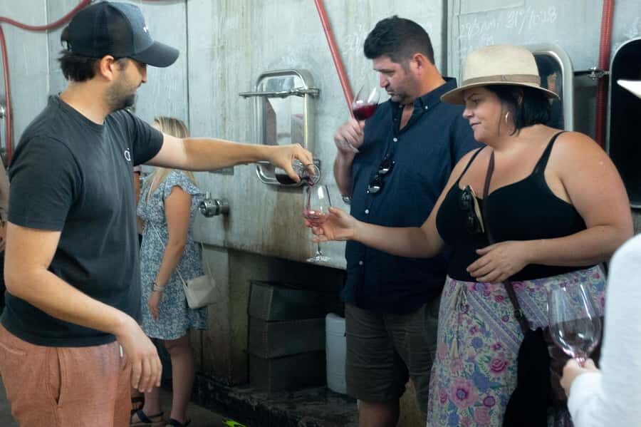 The hidden wineries of Maipo - The Itinerary in Detail