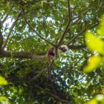 The Howling Trail Hike - Frequently Asked Questions