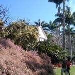 The landscaper Burle Marx and its site - cultural heritage - Who Will Love This Tour?