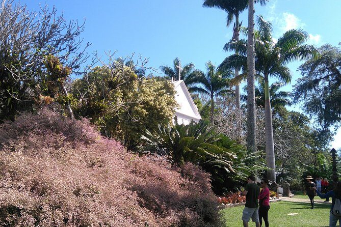 The landscaper Burle Marx and its site - cultural heritage - Who Will Love This Tour?