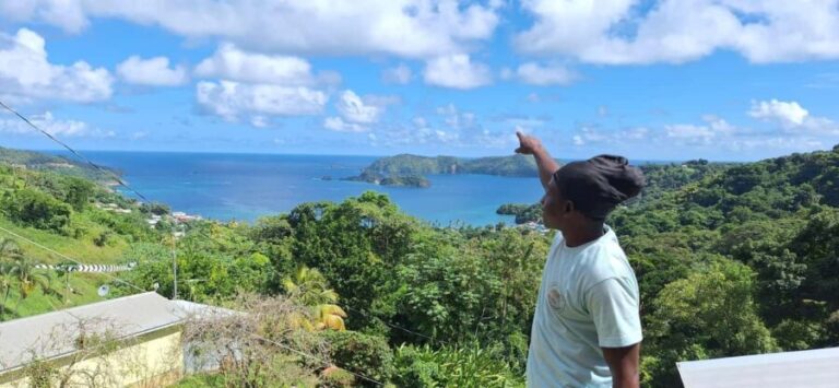 The Little Tobago Tour - Why This Tour Offers Good Value