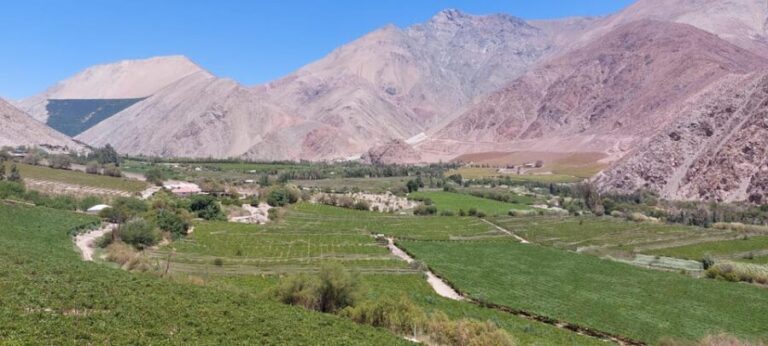 The Magnificient Elqui Valley Grand Tour - The Experience of a Guided Tour
