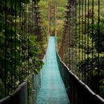 The Mistico Hanging Bridges - Who Should Consider This Tour?