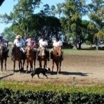 The Most Traditional Fiesta Gaucha in Buenos Aires - Practical Details and Value