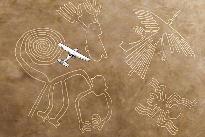 The Nazca Lines, Paracas & Huacachina Oasis (2D/1N) Private Trip - Who Is This Tour Best For?