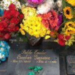 The "not polite to use his name" City Tour - Practicalities and What to Expect