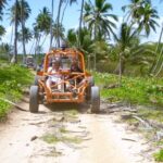 The Original Xtreme Buggy full day adventure! Small groups, VW engine!! - What Makes This Tour Stand Out?