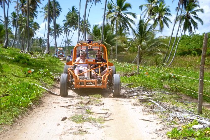 The Original Xtreme Buggy full day adventure! Small groups, VW engine!! - What Makes This Tour Stand Out?