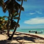 The paradise of Isla Saona from Bavaro - The Sum Up: Who Should Consider This Tour?