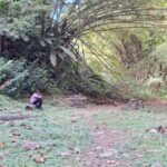 The Tobago Rainforest Tour - The Value of the Tobago Rainforest Tour