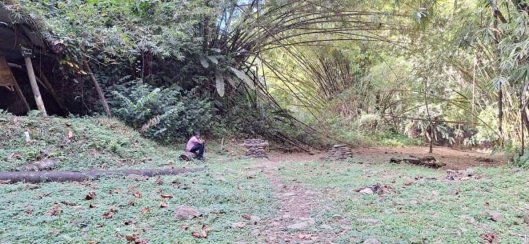 The Tobago Rainforest Tour - The Value of the Tobago Rainforest Tour