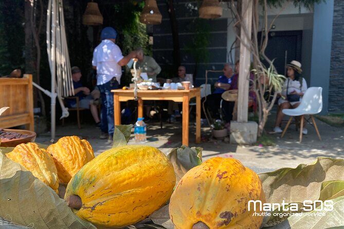 The ultimate Cocoa farm experience - Value and Cost