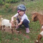 The Ultimate Dominican Horseback Riding Adventure - Authentic Traveler Perspectives