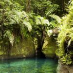 The Ultimate Private Romantic Escape in Roseau - What Makes This Tour Stand Out?