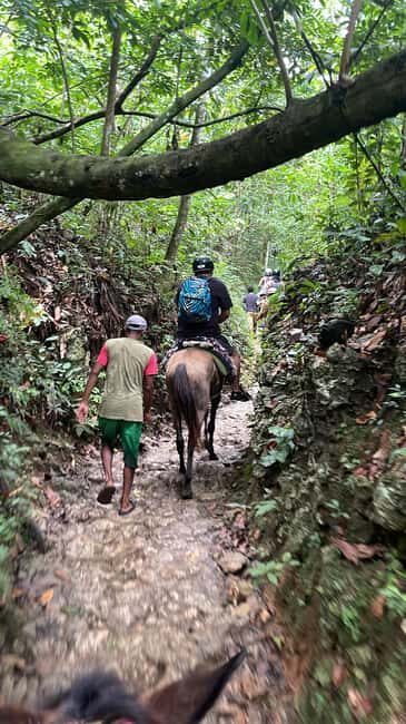 The waterfall of the lemon : Explore the waterfall of the lemon and know its rivers mountains - A Closer Look at the Salto del Limon Tour Experience