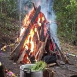 Therapeutic Temazcal: Harmony and Rebirth in the Forest - The Sum Up