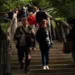 Tierra del Fuego National Park - Key Points